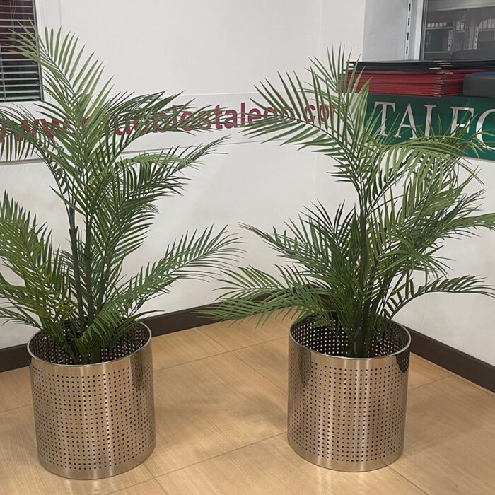 macetero y planta